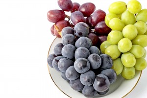 MizunobuEC_20230818web_080__1D_0211_