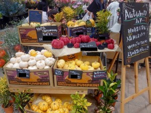 ジェルフラワーイメージ