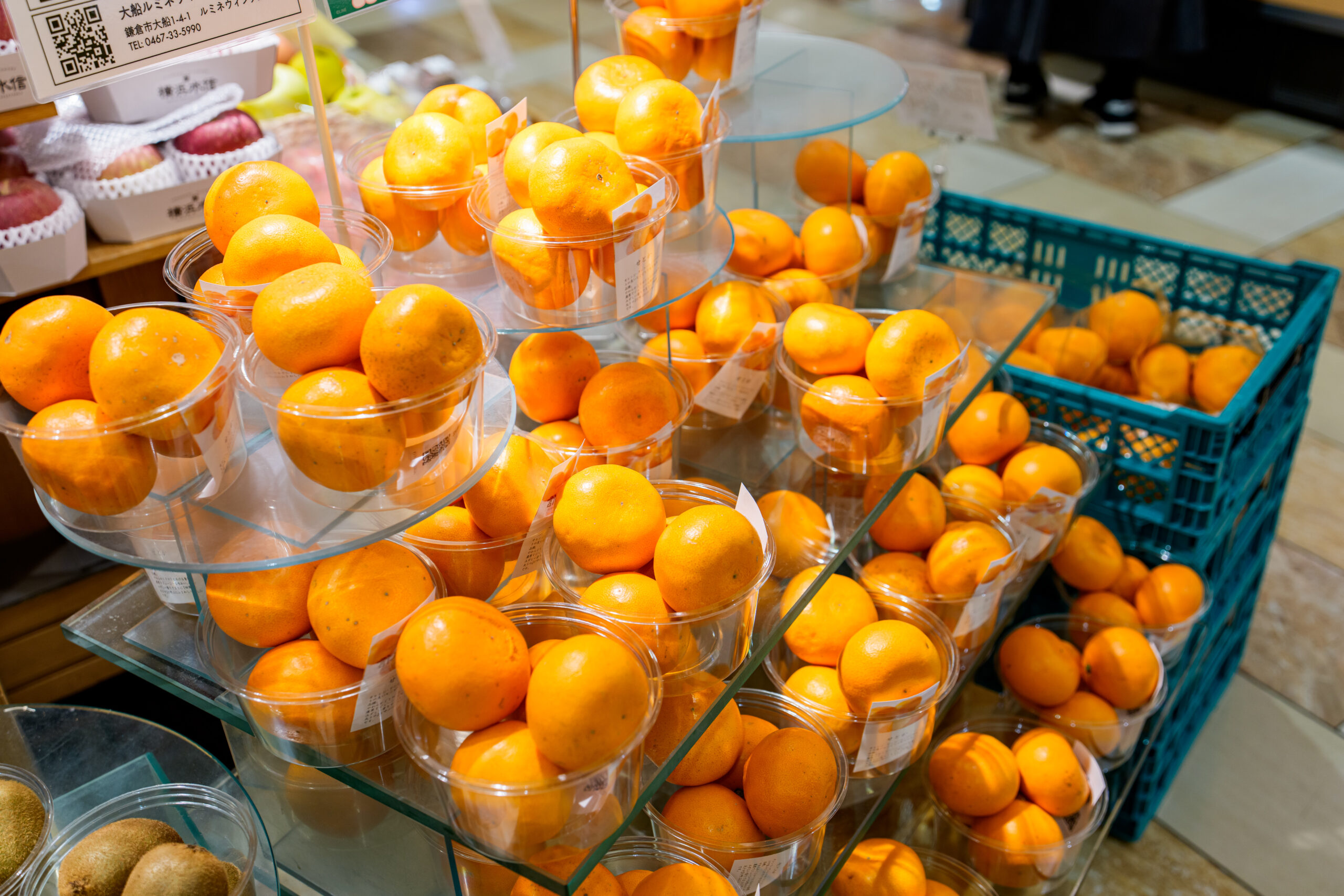 横浜水信 平塚店