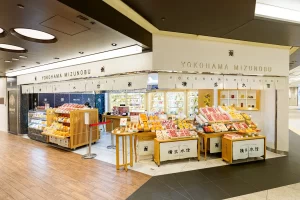 JoynusHonten20260319 030 NA10105