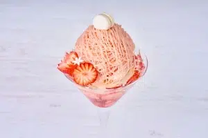 MizunobuBRK20260119web 023 NA10048